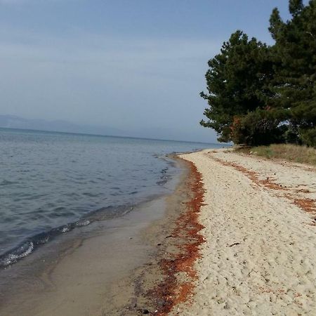 شقة Vlachogiannis El Estate Skala Rachoni  المظهر الخارجي الصورة