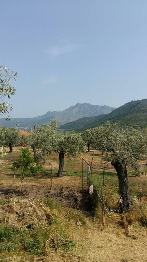 شقة Vlachogiannis El Estate Skala Rachoni  المظهر الخارجي الصورة