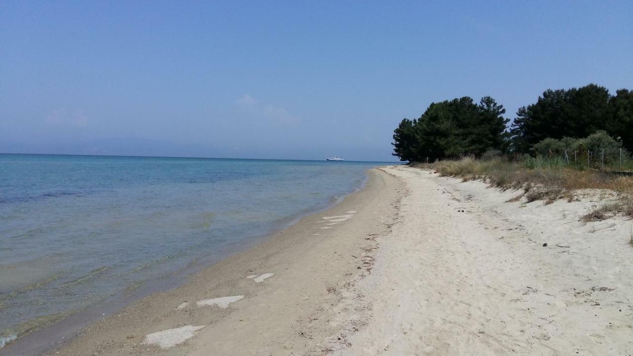 شقة Vlachogiannis El Estate Skala Rachoni  المظهر الخارجي الصورة