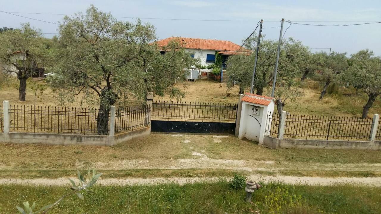 شقة Vlachogiannis El Estate Skala Rachoni  المظهر الخارجي الصورة