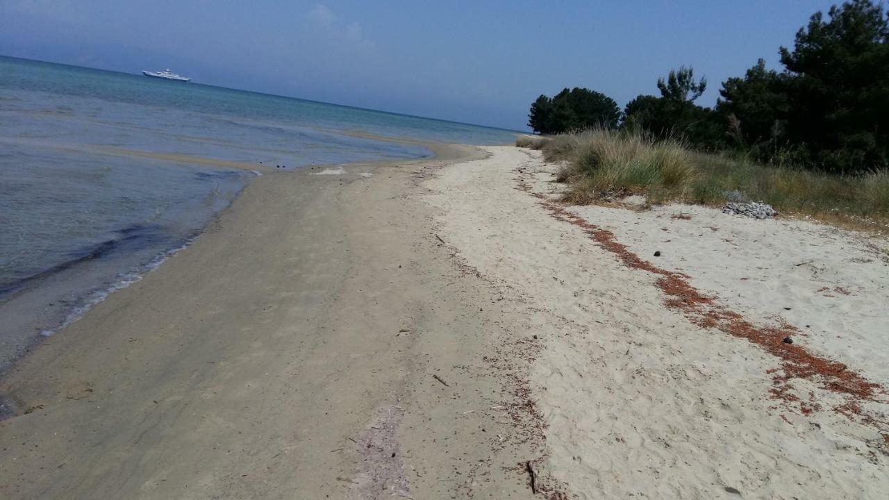 شقة Vlachogiannis El Estate Skala Rachoni  المظهر الخارجي الصورة