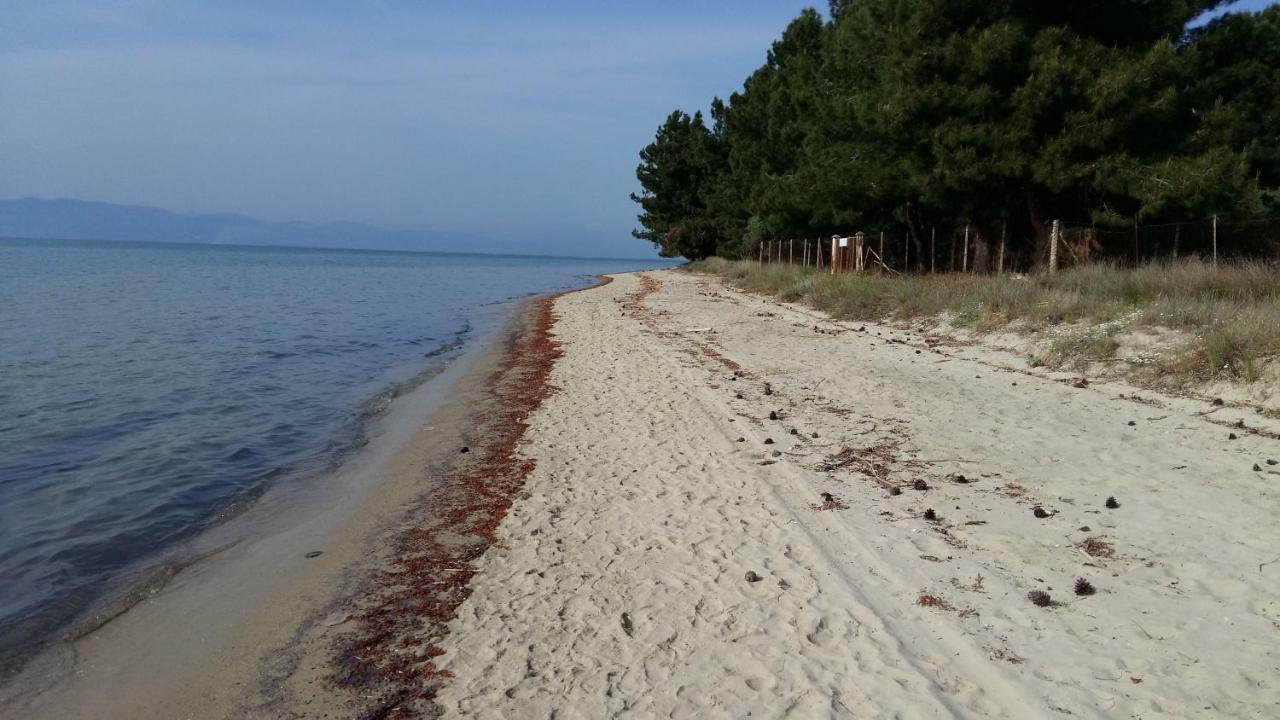 شقة Vlachogiannis El Estate Skala Rachoni  المظهر الخارجي الصورة